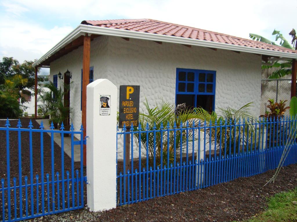 Orosi Lodge Exterior photo